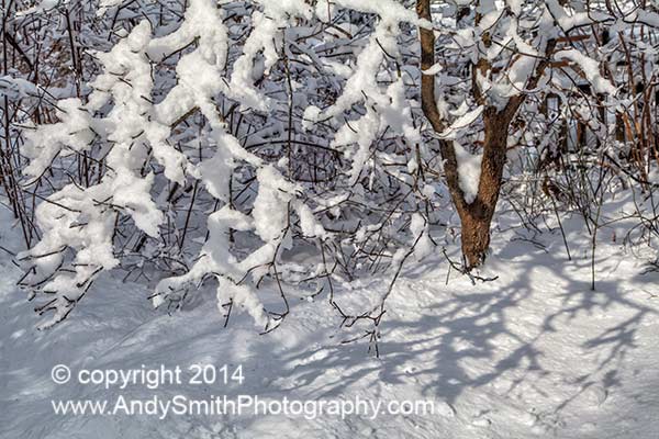 Snow Shadow